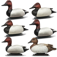 DOA Refuge Canvasback Decoys Foam Filled
